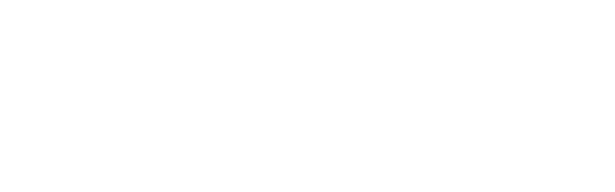 Superfly Jobs Logo